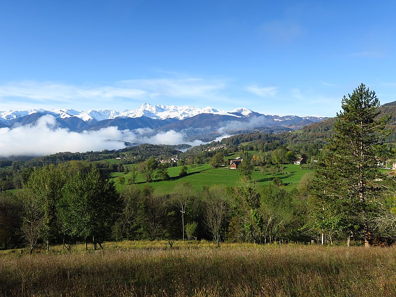 GAEC du Verger