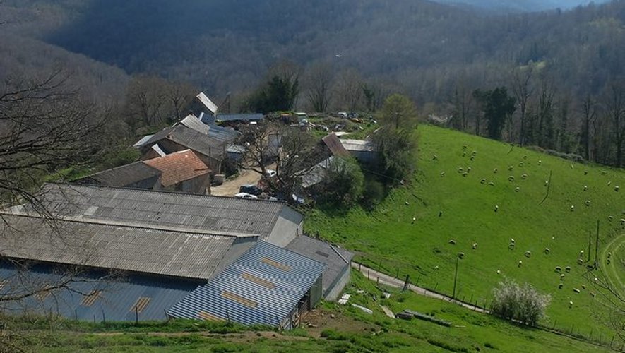 Gaec Galas-d'en-haut